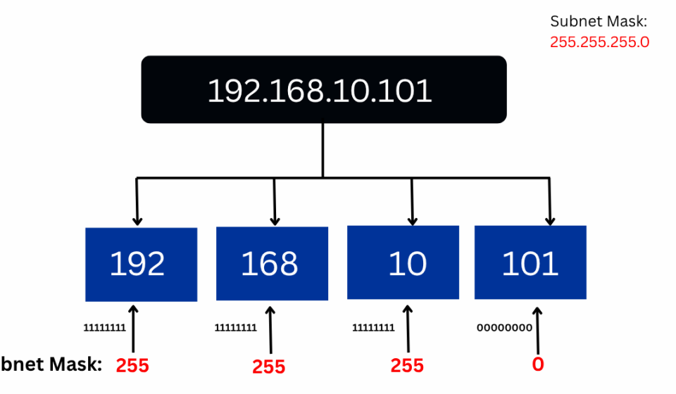 45.248.163.181 IP Address Guide and Network Insights